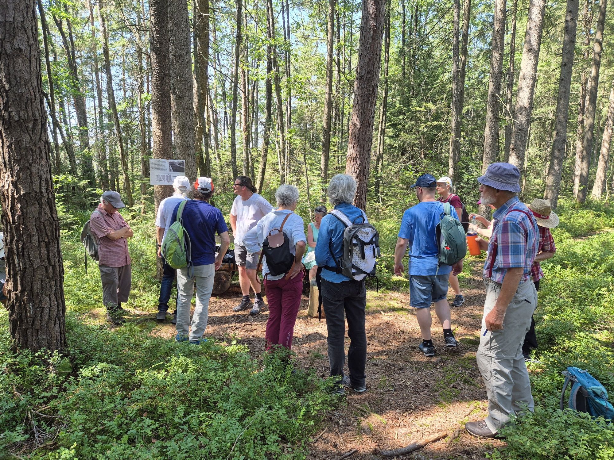 Filzen-Wanderung 2024